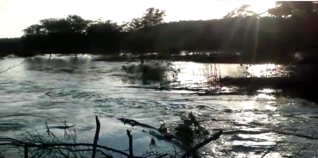 rio Vídeo mostra cheia do rio Paraíba onde há oito anos não passava água