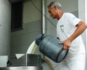 leite-de-cabra-696x555-1-300x239 Taperoá foi o município que mais produziu leite de cabra no Brasil, 543 mil litros, em 2017