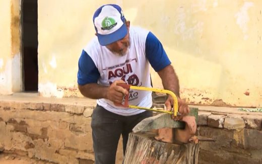 seu-vicente2-520x326 Agricultor caririzeiro usa madeira umburana para esculpir ferramentas em miniaturas