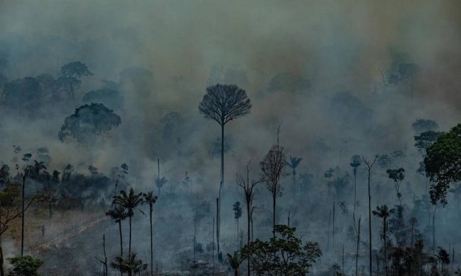 xdesmatamento.jpg.pagespeed.ic_.9XgrmJ1R5V-650x390 Ministério da Economia libera R$ 38,5 milhões para Defesa combater fogo na Amazônia