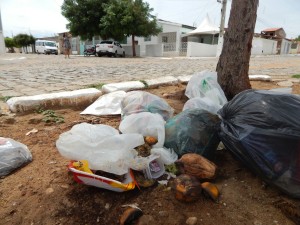 20160125153312-300x225 Mato, lixo e esgotos a céu aberto mostram descaso da Gestão do Prefeito Junior Nobrega no município da Prata, no Cariri