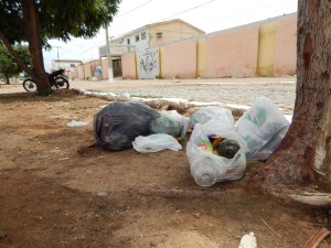 20160125153325-300x225 Mato, lixo e esgotos a céu aberto mostram descaso da Gestão do Prefeito Junior Nobrega no município da Prata, no Cariri