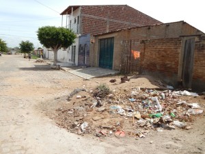 20160125153339-1-300x225 Mato, lixo e esgotos a céu aberto mostram descaso da Gestão do Prefeito Junior Nobrega no município da Prata, no Cariri