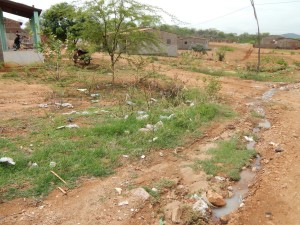 20160125174628-300x225 Mato, lixo e esgotos a céu aberto mostram descaso da Gestão do Prefeito Junior Nobrega no município da Prata, no Cariri