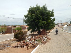 20160125175421-300x225 Mato, lixo e esgotos a céu aberto mostram descaso da Gestão do Prefeito Junior Nobrega no município da Prata, no Cariri