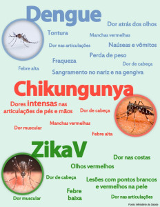 dengue-chikungunya-zika-232x300 Cientistas preveem surto maior de chikungunya no primeiro trimestre de 2016