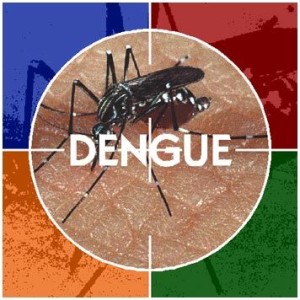 dengue-na-argentina-300x300 Capital argentina já tem sete casos confirmados de dengue