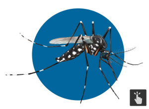 16050686-1-300x220 Corrida por vacina contra vírus da zika movimenta laboratórios pelo mundo