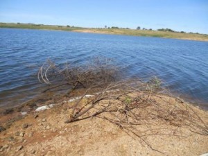 Açude-300x225-300x225 Abastecimento precário: População continua enfrentando problemas em Monteiro mesmo com água suficiente
