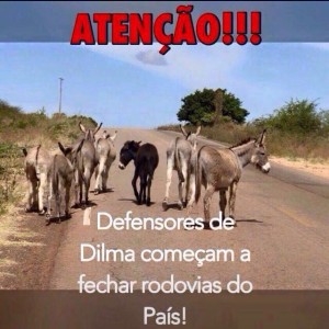 20160304105735-4-300x300 Lula vira meme na internet apos se levado para depor na Polícia Fecederal