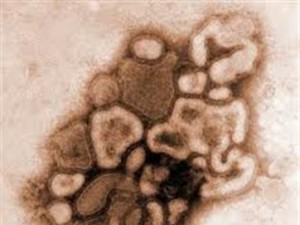 10790436280003622710000-300x225 Cajazeiras, no Sertão da PB, tem 1ª morte registrada por suspeita da gripe H1N1