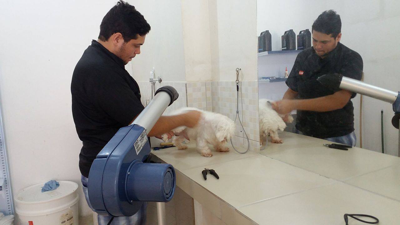13313396_10206940549455360_877737527_o Em Monteiro: Inaugurado o Pet Shop Amigo Bicho