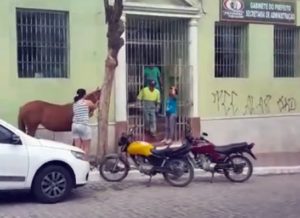 timthumb-10-300x218 Revoltada, mulher amarra cavalo em frente a Prefeitura de Pocinhos