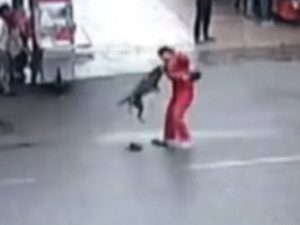 cao-ataque-300x225 Cão enfurecido ataca 23 pessoas e causa pânico na China