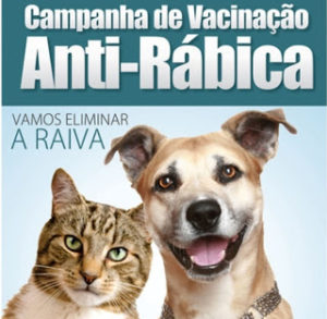 1-2-300x293 Monteiro realiza campanha de vacinação animal
