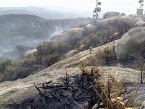 16872536280003622710000-300x225 ncêndio no Pico do Jabre já dura 28 horas e bombeiros fazem força-tarefa para apagar fogo