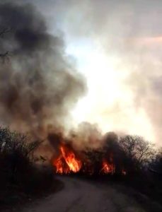 incendio-zona-rural-de-Monteiro-229x300 Grande incêndio atinge zona rural de Monteiro