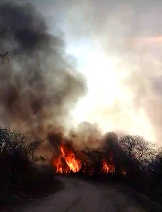 incendio-zona-rural-de-Monteiro Grande incêndio atinge zona rural de Monteiro