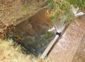 timthumb-4-4-300x218 Cano estourado desperdiça água há três dias na cidade de Monteiro