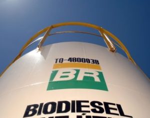 Biodiesel-310x245-300x237 Petrobras decide fechar usina de biodiesel no Ceará e inicia saída do setor
