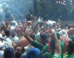 festapal-310x245-300x237 Torcedor do Palmeiras morre durante comemoração de título, em São Paulo