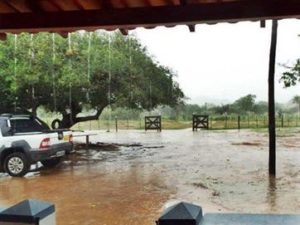 17153436280003622710000-300x225 Moradores relatam chuvas em pelo menos 12 cidades do Sertão