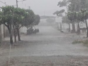 chuva-21-300x225-300x225 Verão deve ter chuvas dentro da média no Cariri, Curimaraú e Sertão, diz AESA