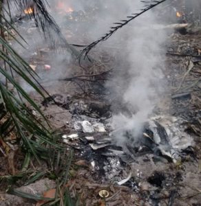 f_373319-1-292x300 Avião de pequeno porte cai em Manaus cinco morreram e uma sobreviveu ao acidente