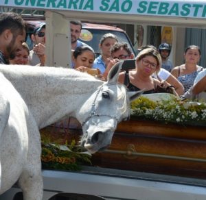 cavalo1-1-300x292 Cavalo em funeral é destaque internacional