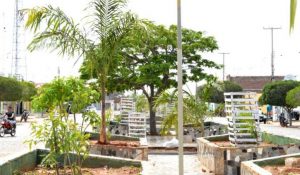 zabele-pb-1-300x175 Praças Públicas recebem projeto de arborização e transforma ruas de Zabelê