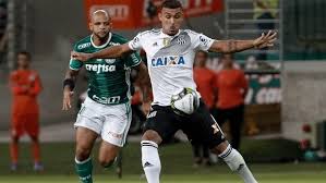 images-1 Palmeiras vence por 1 a 0 com gol de Felipe Melo, mas Ponte está na final