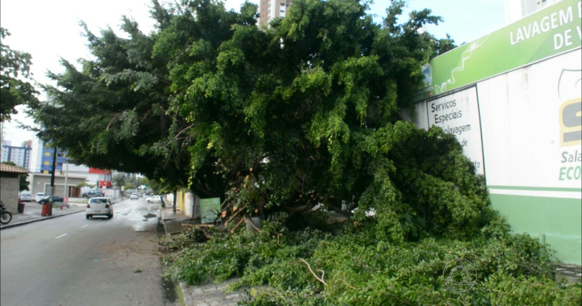 4340176 Instituto emite alerta e prevê fortes chuvas na Paraíba