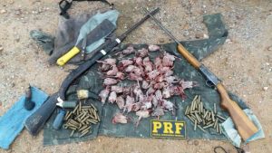 AVES-DE-CAÇA-300x169 Dupla é presa em Patos com duas armas e 48 aves mortas