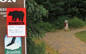 urso-1-300x188 Urso mata adolescente durante corrida no Alasca