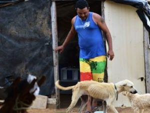 homem-vende-propria-casa-para-para-cuidar-de-caes-300x225 Agricultor vende casa para cuidar de cães abandonados em Monteiro