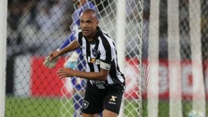 infochpdpict000071567861-300x169 Botafogo vence Flamengo após dois anos e meio e embala para Libertadores
