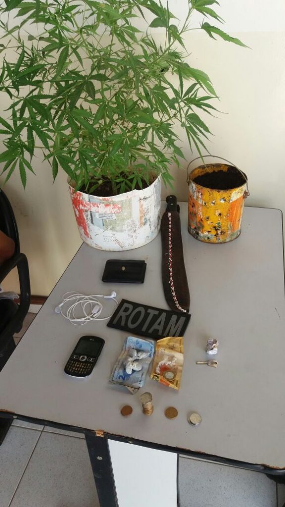 pé-de-maconha-é-encontrado-dentro-de-residencia-em-monteiro-576x1024 Exclusivo: Dois jovens são presos com drogas e pé de maconha em casa, em Monteiro.