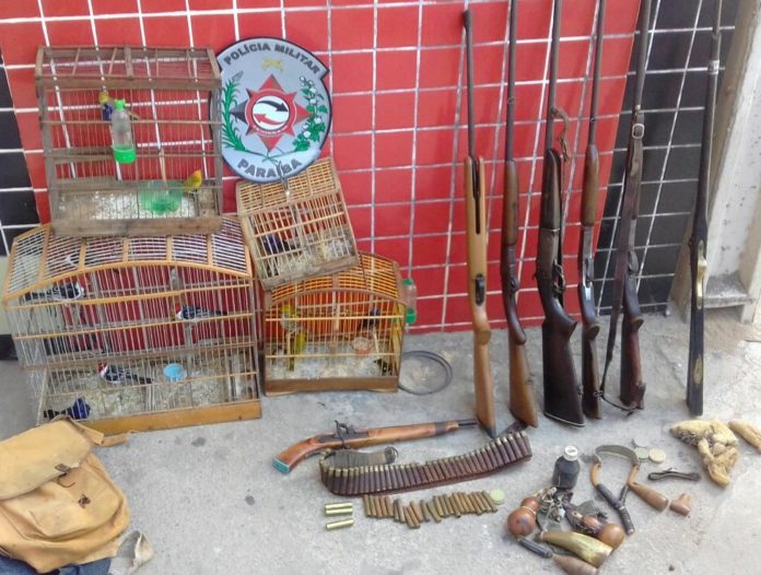 homem-e-preso-suspeito-de-caca-ilegal-de-aves-na-paraiba-696x526 Homem é preso suspeito de caça ilegal de aves na Paraíba