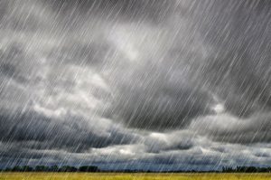 2312_chuva_tempo_lavoura_6-300x199 Aesa registra chuvas em 83 cidades da PB no fim de semana; Mari teve maior índice