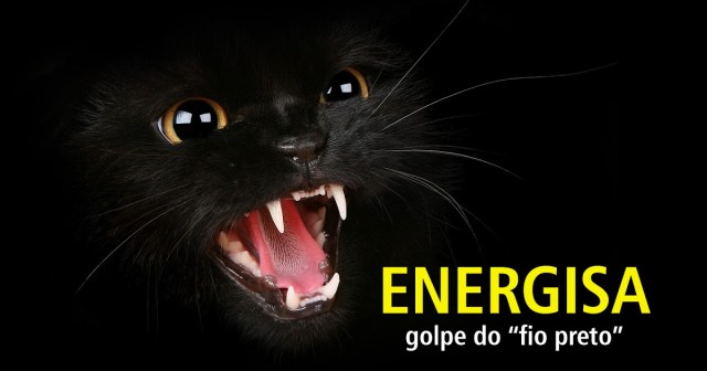 gato-energisa Procurador de Justiça Francisco Sagres atesta existência do Fio Preto da Energisa: “Só cego não vê”