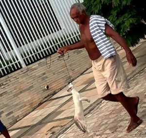 homem-mata-gat0-cajazeiras-300x282 Homem desfila com gato enforcado em plena luz do dia na Paraíba