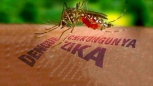mosquito_dengue_zika-300x169-300x169 Prefeitura de Monteiro adverte sobre cuidados com a proliferação do mosquito Aedes Aegypti