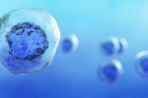 stem_cell-300x200 Cientistas dos EUA avançam no uso células-tronco para doenças incuráveis