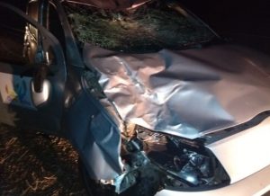 timthumb-22-300x218 Animal na pista provoca acidente com carro de prefeitura no Cariri