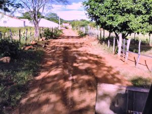 agricultura-zona-rural1-1-300x225 Comunidades Rurais recebem trabalhos da Secretaria de Agricultura em Monteiro