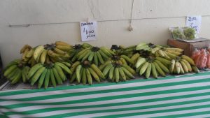 SAM_7029-1-300x169 Verdurão JK em Monteiro:  Frutas e verduras selecionadas diretamente da CEASA
