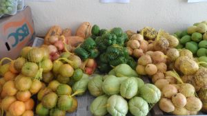 SAM_7038-300x169 Verdurão JK em Monteiro:  Frutas e verduras selecionadas diretamente da CEASA