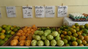 SAM_7042-1-300x169 Verdurão JK em Monteiro:  Frutas e verduras selecionadas diretamente da CEASA