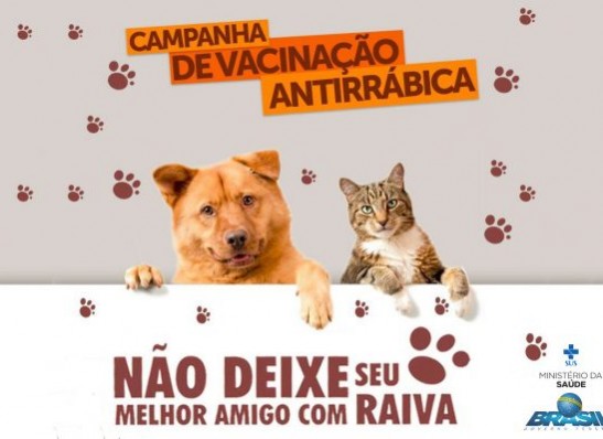 timthumb-1 “Dia D” de Vacinação contra a Raiva em Cães e Gatos acontece neste sábado em Monteiro