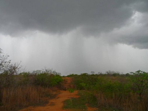 Z-1-507x380 Confira volume de chuvas em algumas cidades do Cariri nas últimas 24 horas
